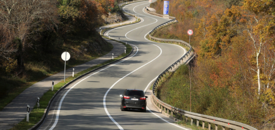 Ceste lijepe naše mame na road tripove